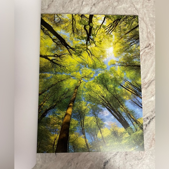 2/$20💕WoodlandCollage Kit 🍁 - Picture 8 of 10